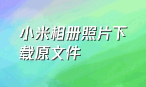 小米相册照片下载原文件