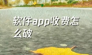 软件app收费怎么破