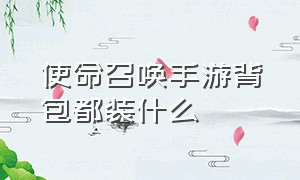 使命召唤手游背包都装什么