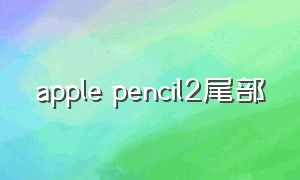 apple pencil2尾部