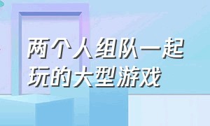 两个人组队一起玩的大型游戏