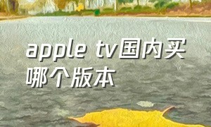 apple tv国内买哪个版本