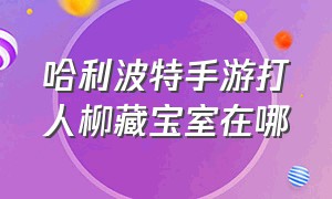 哈利波特手游打人柳藏宝室在哪