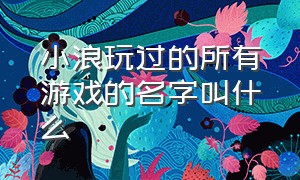 小浪玩过的所有游戏的名字叫什么