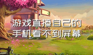 游戏直播自己的手机看不到屏幕