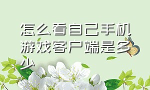 怎么看自己手机游戏客户端是多少