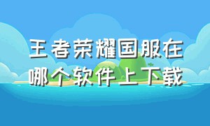 王者荣耀国服在哪个软件上下载