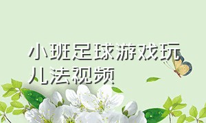 小班足球游戏玩儿法视频