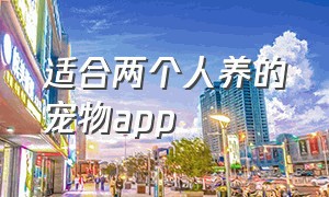 适合两个人养的宠物app