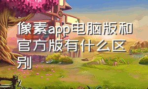 像素app电脑版和官方版有什么区别