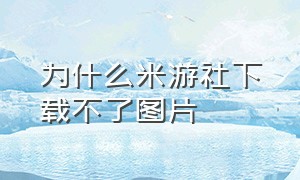 为什么米游社下载不了图片