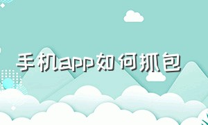 手机app如何抓包