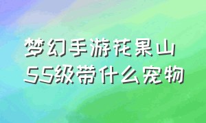 梦幻手游花果山55级带什么宠物