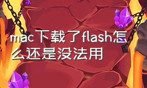 mac下载了flash怎么还是没法用