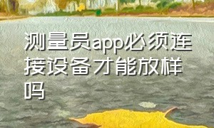 测量员app必须连接设备才能放样吗