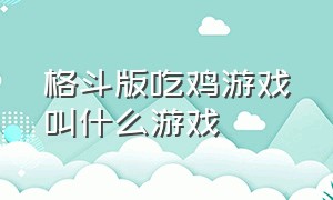 格斗版吃鸡游戏叫什么游戏