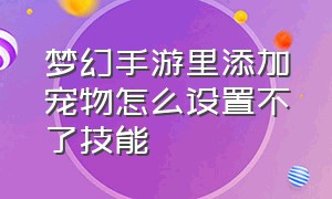 梦幻手游里添加宠物怎么设置不了技能