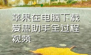 苹果在电脑下载爱思助手全过程视频