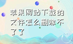 苹果网站下载的文件怎么删除不了了