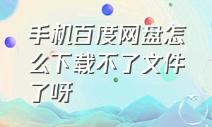 手机百度网盘怎么下载不了文件了呀