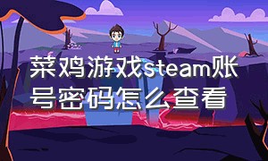 菜鸡游戏steam账号密码怎么查看