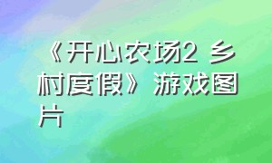 《开心农场2 乡村度假》游戏图片