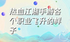 热血江湖手游各个职业飞升的样子