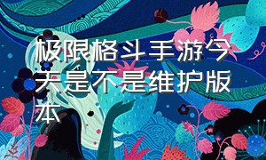 极限格斗手游今天是不是维护版本