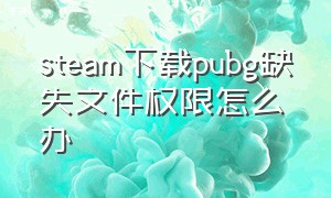 steam下载pubg缺失文件权限怎么办