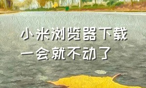 小米浏览器下载一会就不动了