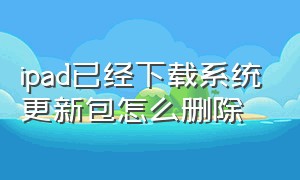 ipad已经下载系统更新包怎么删除