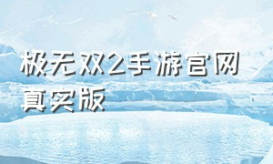 极无双2手游官网真实版