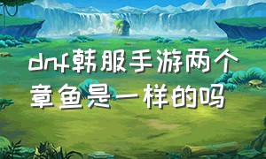 dnf韩服手游两个章鱼是一样的吗