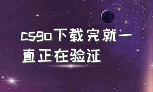 csgo下载完就一直正在验证