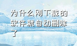 为什么刚下载的软件就自动删除了