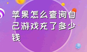 苹果怎么查询自己游戏充了多少钱