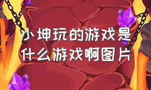 小坤玩的游戏是什么游戏啊图片