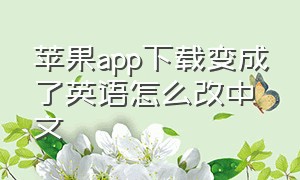 苹果app下载变成了英语怎么改中文