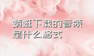 蜻蜓下载的音频是什么格式