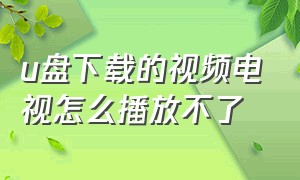 u盘下载的视频电视怎么播放不了