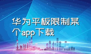 华为平板限制某个app下载