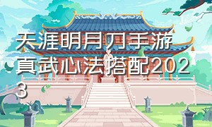 天涯明月刀手游真武心法搭配2023