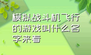 模拟战斗机飞行的游戏叫什么名字来着