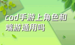 cod手游上角色和端游通用吗