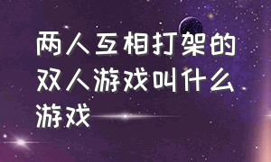 两人互相打架的双人游戏叫什么游戏