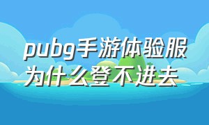 pubg手游体验服为什么登不进去