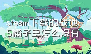 steam下载的战地5橘子里怎么没有