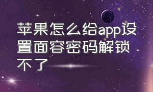 苹果怎么给app设置面容密码解锁不了