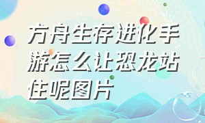 方舟生存进化手游怎么让恐龙站住呢图片