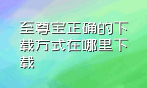 至尊宝正确的下载方式在哪里下载